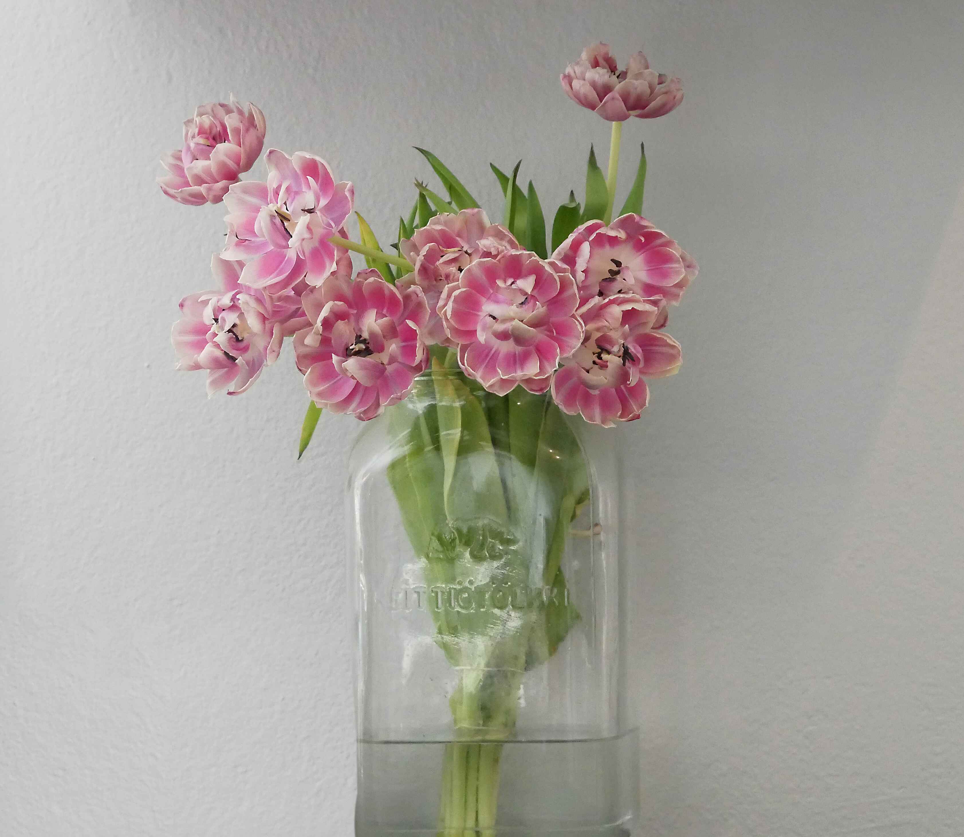 Pakistan First Online Flower Shop